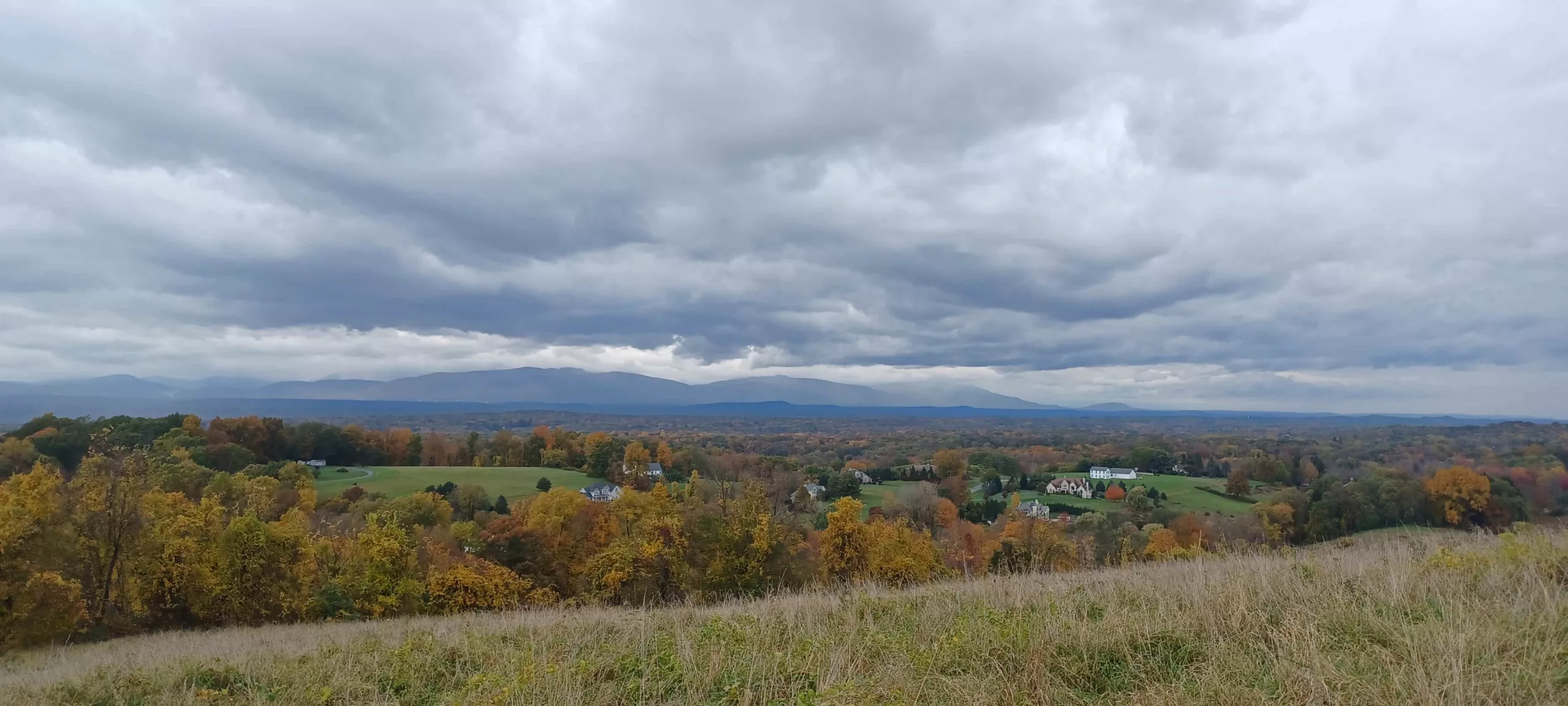 A Weekend at New York Sheep and Wool Festival Reconnect with Travel